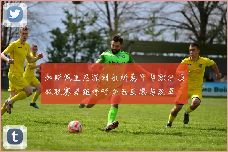加斯佩里尼深刻剖析意甲与欧洲顶级联赛差距呼吁全面反思与改革